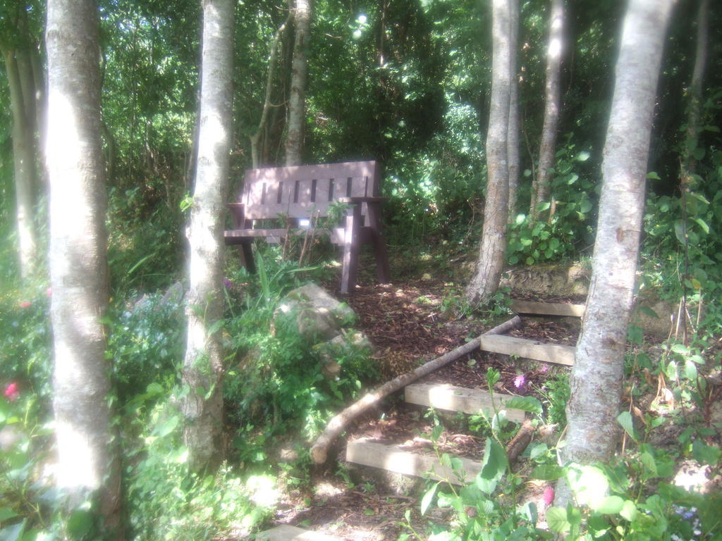 韦斯特波特接骨木住宿加早餐旅馆住宿加早餐旅馆 外观 照片